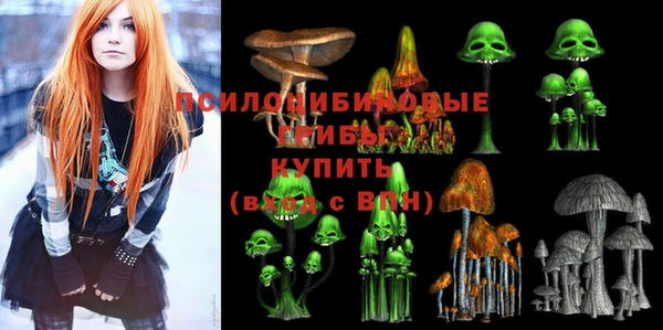 крисы Михайловка
