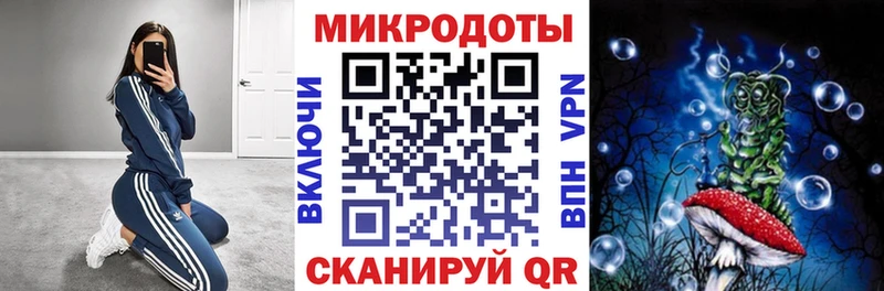 Купить  Мостовской  Псилоцибиновые грибы Psilocybe 